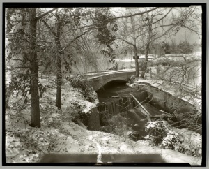 Bridge across Westhampton Lake.